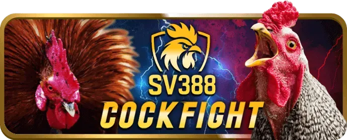 Các môn thể thao khác ee66