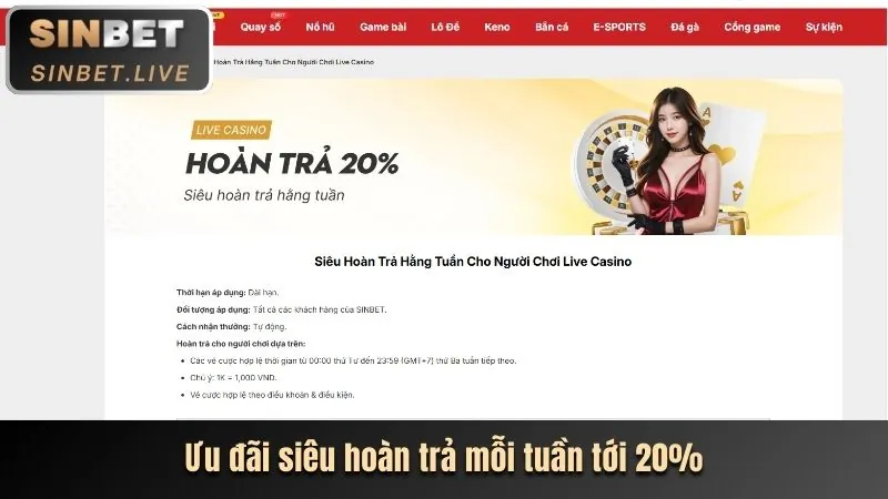 Ưu đãi độc quyền tại ee66